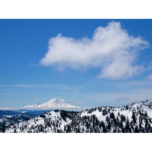 Wild, Jamie and Judy 아티스트의 Washington State-Central Cascades View of Mount Rainier from Pratt Mountain작품입니다.